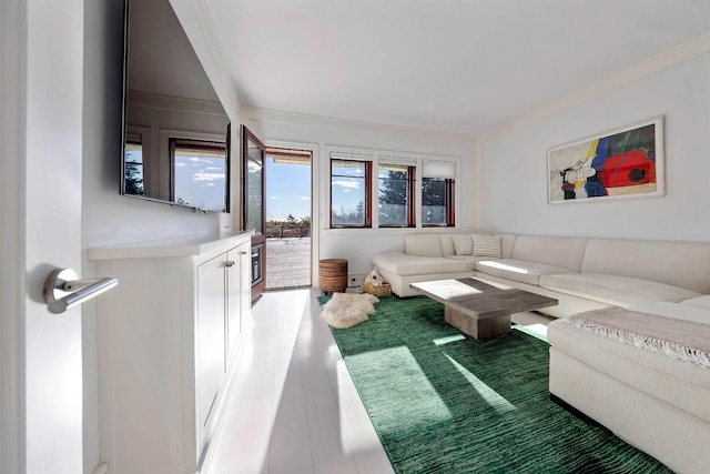 living room featuring hardwood / wood-style floors and ornamental molding