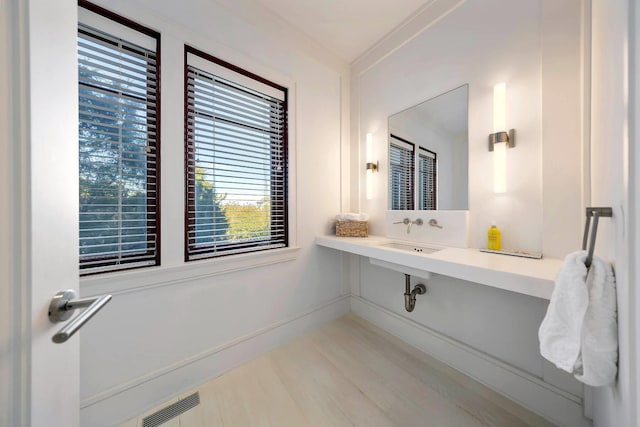 bathroom with ornamental molding, wood-type flooring, and sink