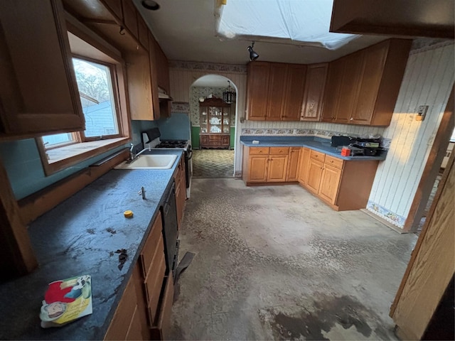 kitchen with range with gas stovetop, dishwasher, and sink