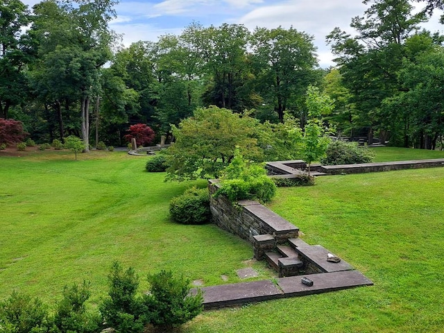 view of property's community with a lawn