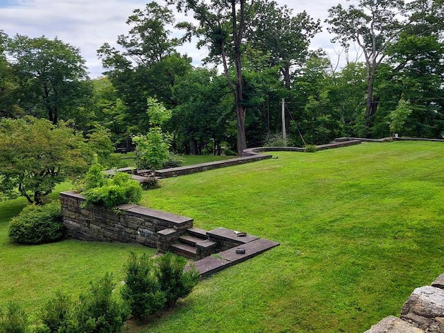 view of home's community with a yard