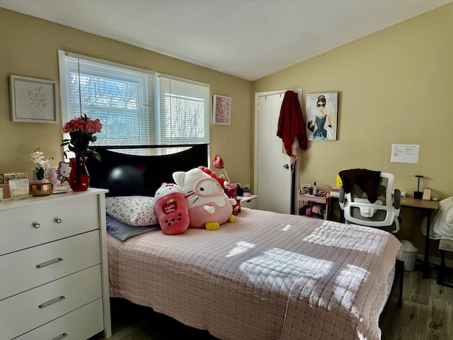 bedroom featuring lofted ceiling and dark wood-type flooring