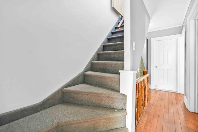 stairs featuring hardwood / wood-style flooring