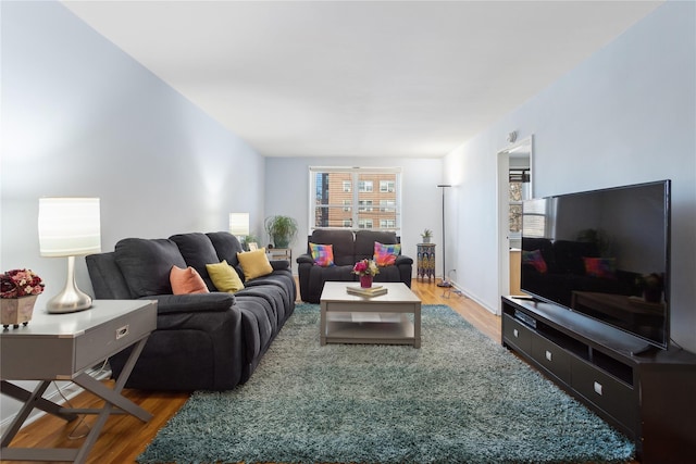 living room featuring hardwood / wood-style flooring