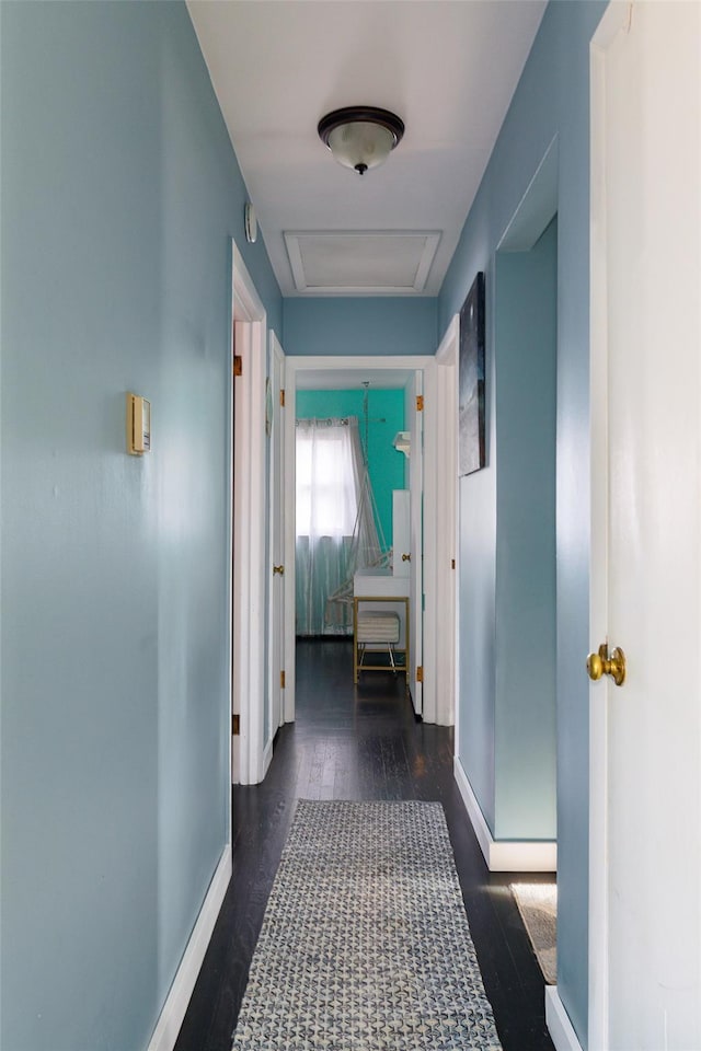 hall featuring dark hardwood / wood-style floors