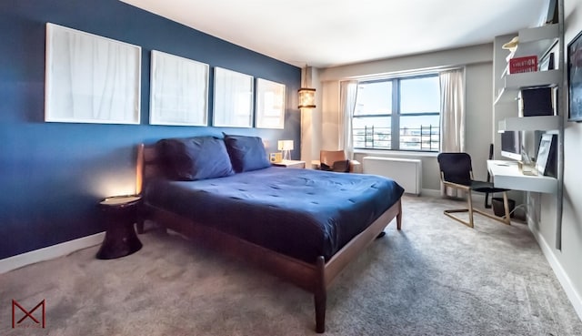 bedroom with radiator and carpet