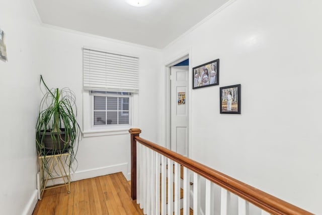 corridor featuring ornamental molding and light hardwood / wood-style flooring