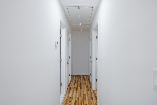 hallway featuring light wood-type flooring