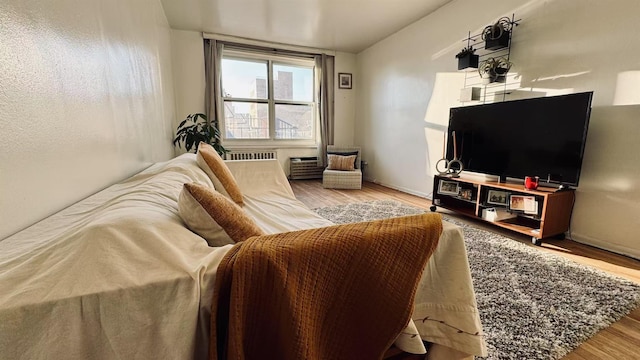 living room featuring hardwood / wood-style floors