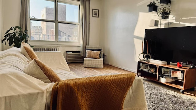 living room with hardwood / wood-style floors and radiator heating unit