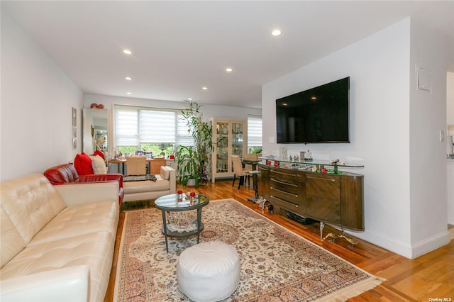 living room with light hardwood / wood-style flooring