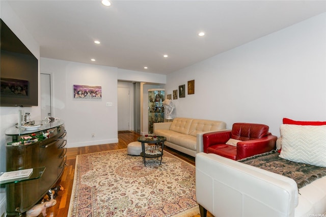 living room with hardwood / wood-style flooring