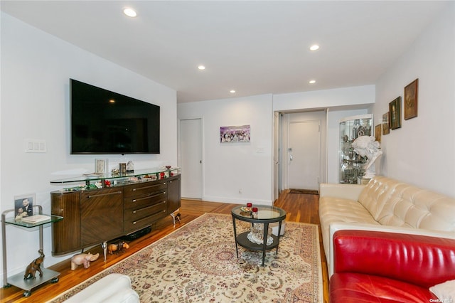 living room featuring wood-type flooring