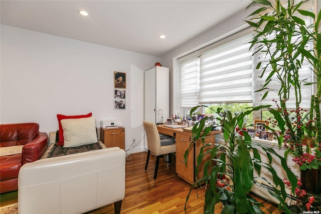 office space featuring hardwood / wood-style flooring