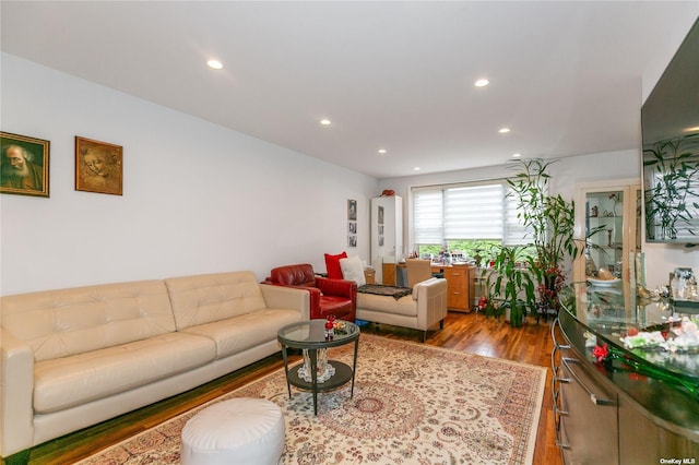 living room with hardwood / wood-style flooring