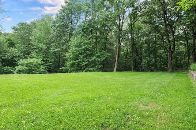652 Long Hill Rd W, Briarcliff Manor, NY 10510 - view of grassy yard featuring a forest view