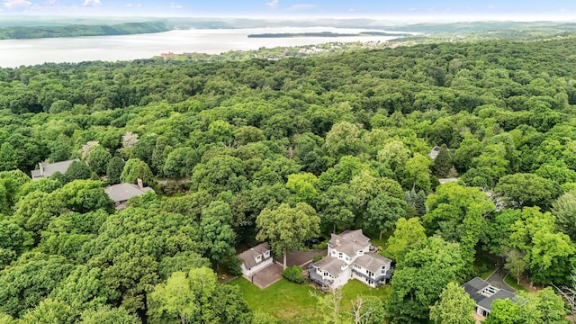 652 Long Hill Rd W, Briarcliff Manor, NY 10510 - drone / aerial view of a heavily wooded area and a nearby body of water
