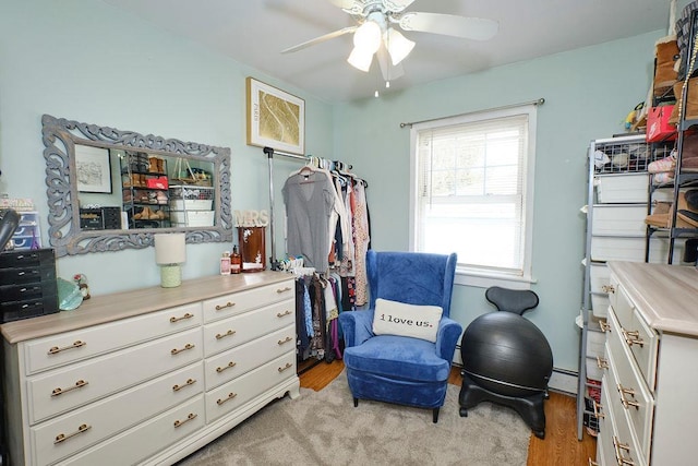 living area with a baseboard radiator, ceiling fan, and light hardwood / wood-style flooring