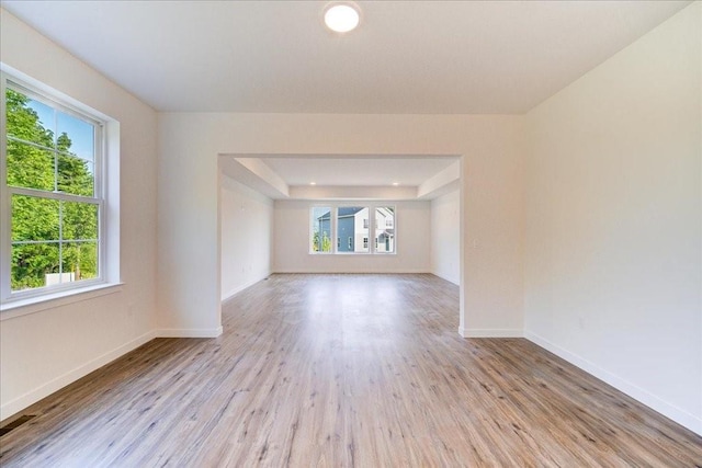 spare room featuring light hardwood / wood-style floors, a wealth of natural light, and a tray ceiling