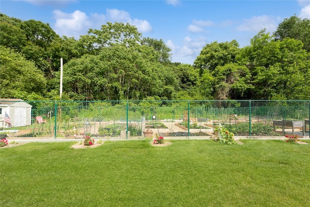 view of yard featuring a storage shed