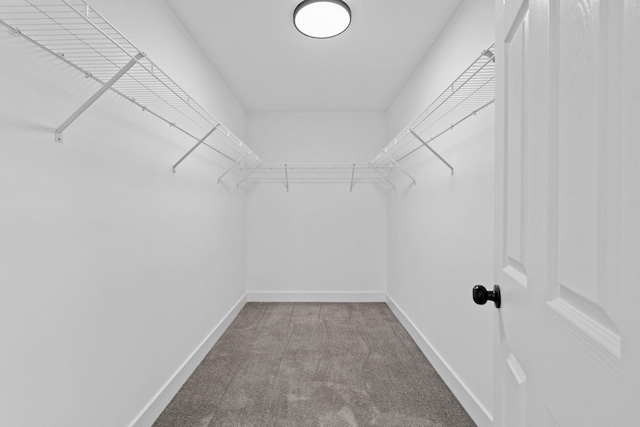 walk in closet with carpet