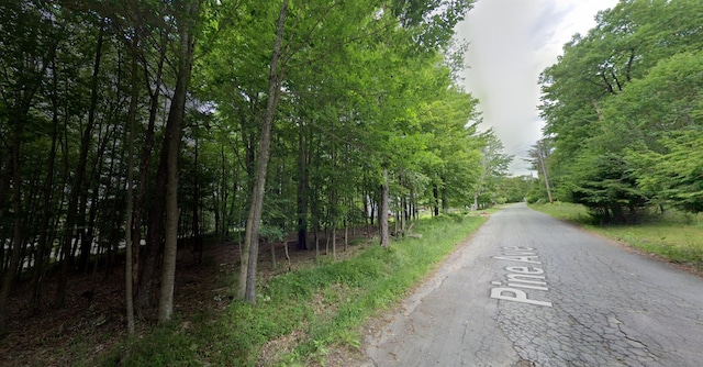 Pine Ave, Mountain Dale NY, 12763 land for sale