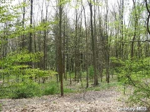 Listing photo 3 for LOT25 Meudon Dr, Lattingtown NY 11560