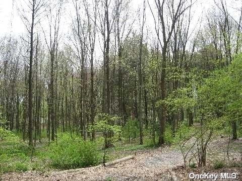 LOT25 Meudon Dr, Lattingtown NY, 11560 land for sale