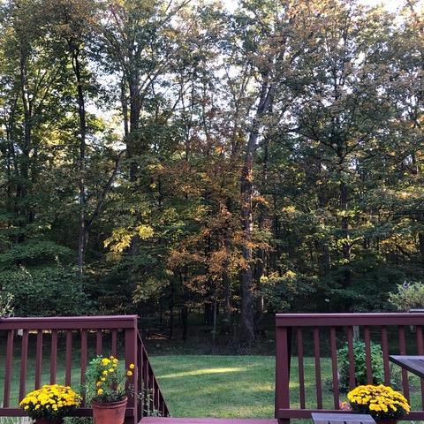 view of yard with a deck