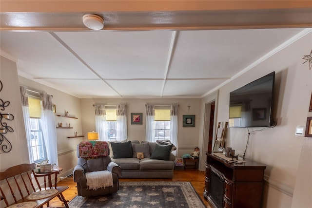 living room featuring ornamental molding and hardwood / wood-style flooring