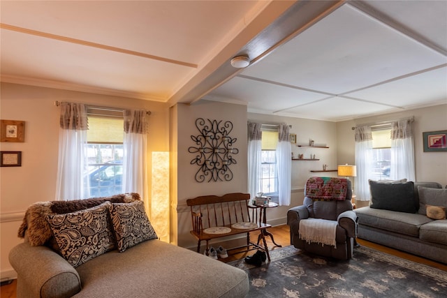 interior space with hardwood / wood-style flooring, a wealth of natural light, and crown molding