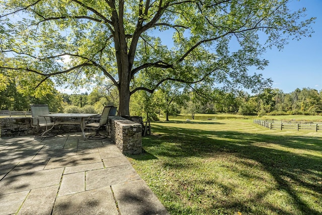 view of yard featuring a patio area