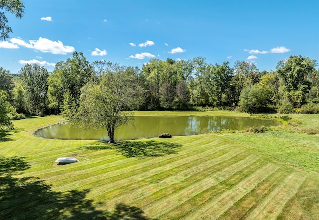 view of community with a water view and a yard