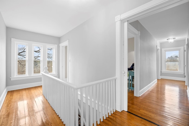 hall with hardwood / wood-style flooring