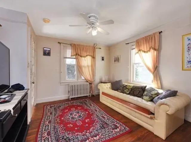 living room with ceiling fan, dark hardwood / wood-style flooring, and radiator heating unit