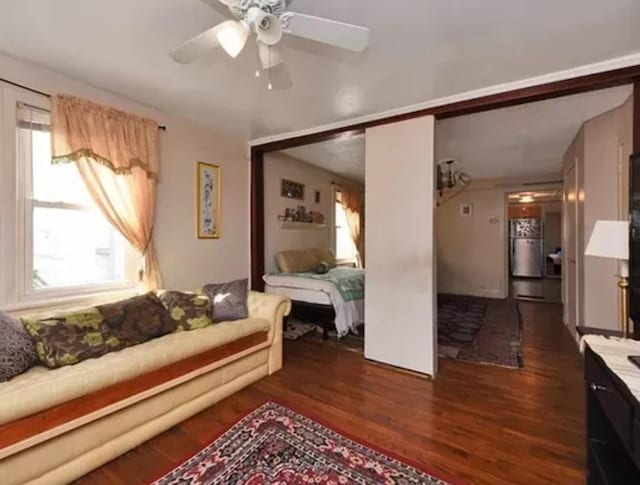 bedroom with ceiling fan, a closet, and dark hardwood / wood-style floors