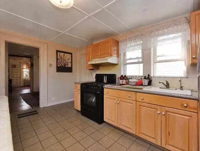 kitchen featuring radiator, sink, and gas stove