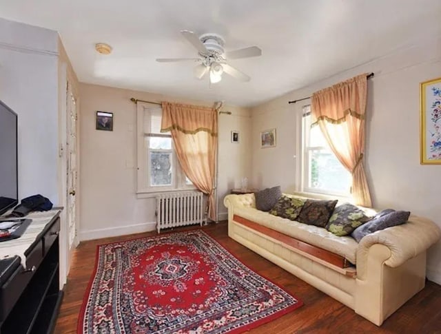 living room with ceiling fan, dark hardwood / wood-style floors, and radiator heating unit