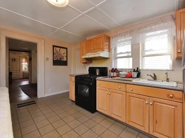 kitchen featuring sink and black gas range