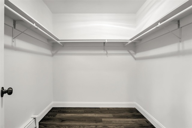 spacious closet with wood-type flooring and a baseboard radiator