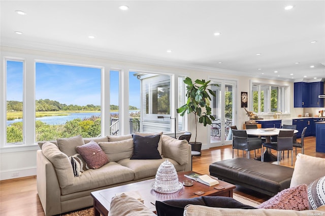 living room featuring crown molding, a wealth of natural light, a water view, and light wood-type flooring