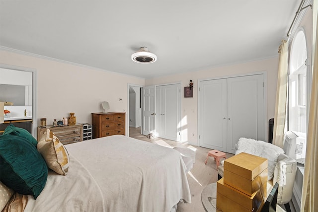 bedroom with multiple closets and crown molding