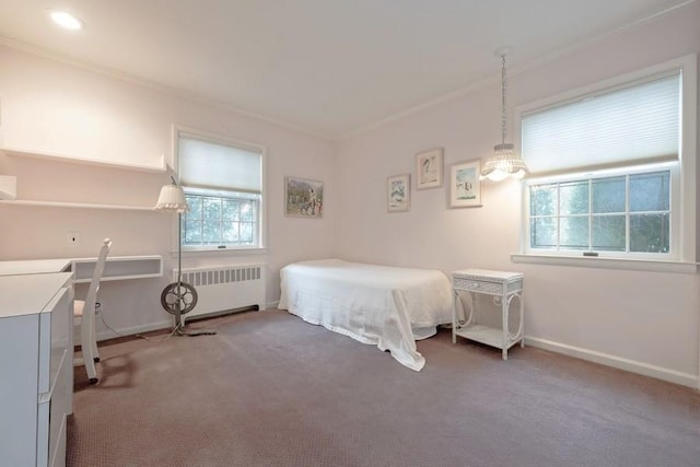 bedroom featuring carpet floors, crown molding, and radiator heating unit