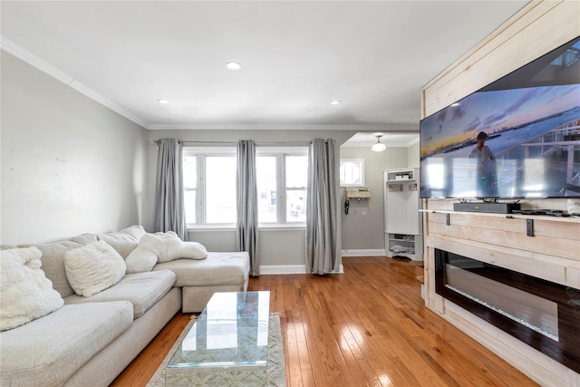 living room with crown molding and light hardwood / wood-style flooring