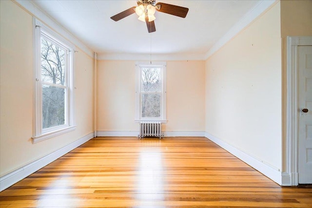 interior space featuring ceiling fan, radiator, light hardwood / wood-style floors, and a wealth of natural light