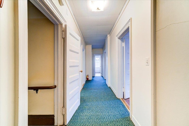 hallway featuring ornamental molding and carpet