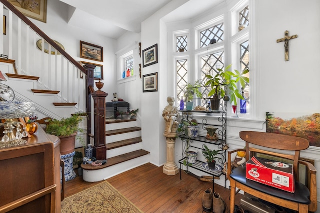 foyer entrance featuring wood-type flooring