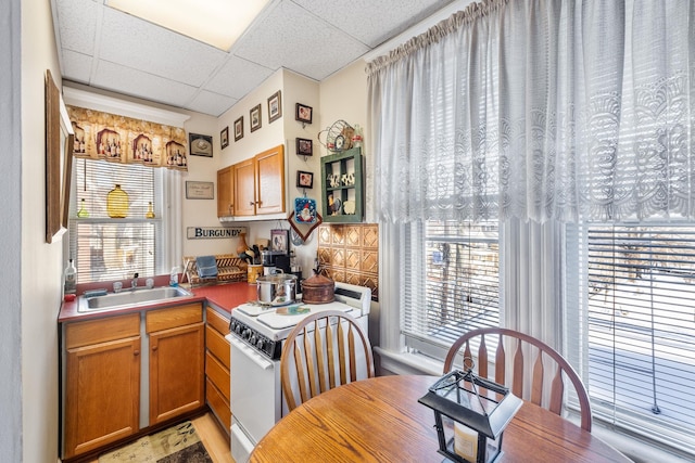 kitchen featuring sink, a paneled ceiling, and gas range gas stove