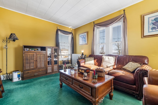 carpeted living room with radiator heating unit