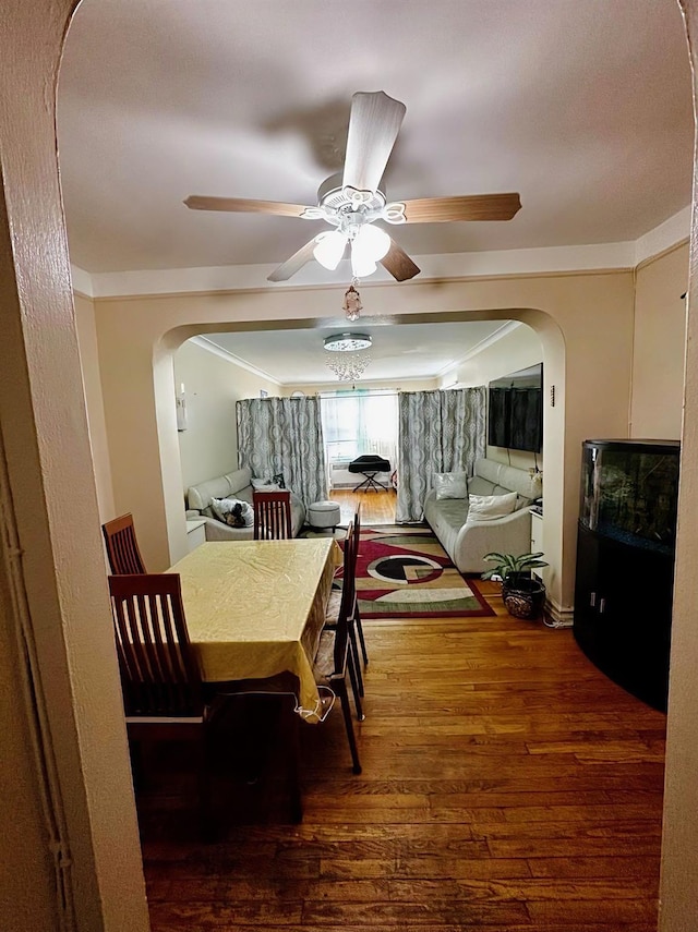 dining area with ceiling fan and hardwood / wood-style floors